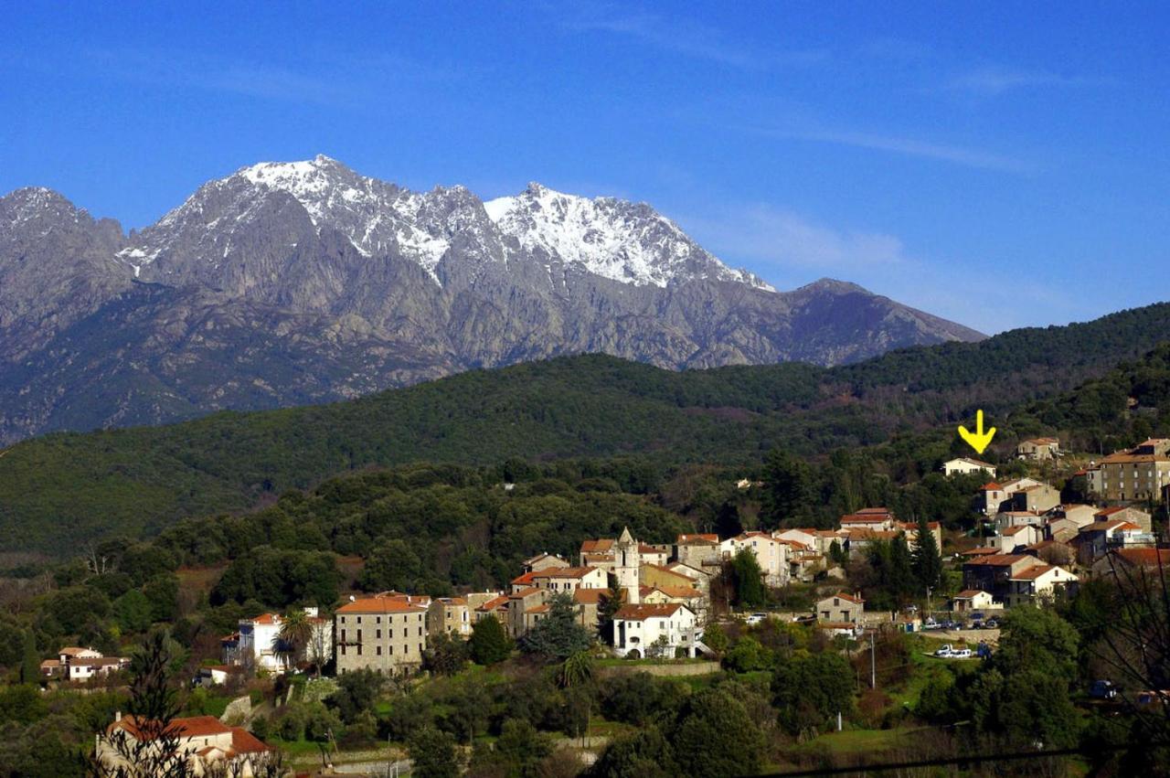 95M2 Au Calme A 25Mn Ajaccio, Plages, Linge Inclus Parking Ok Ucciani Exterior foto